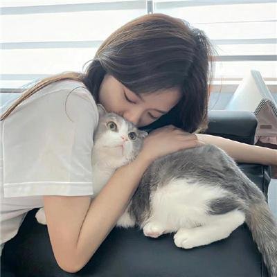 重案六组